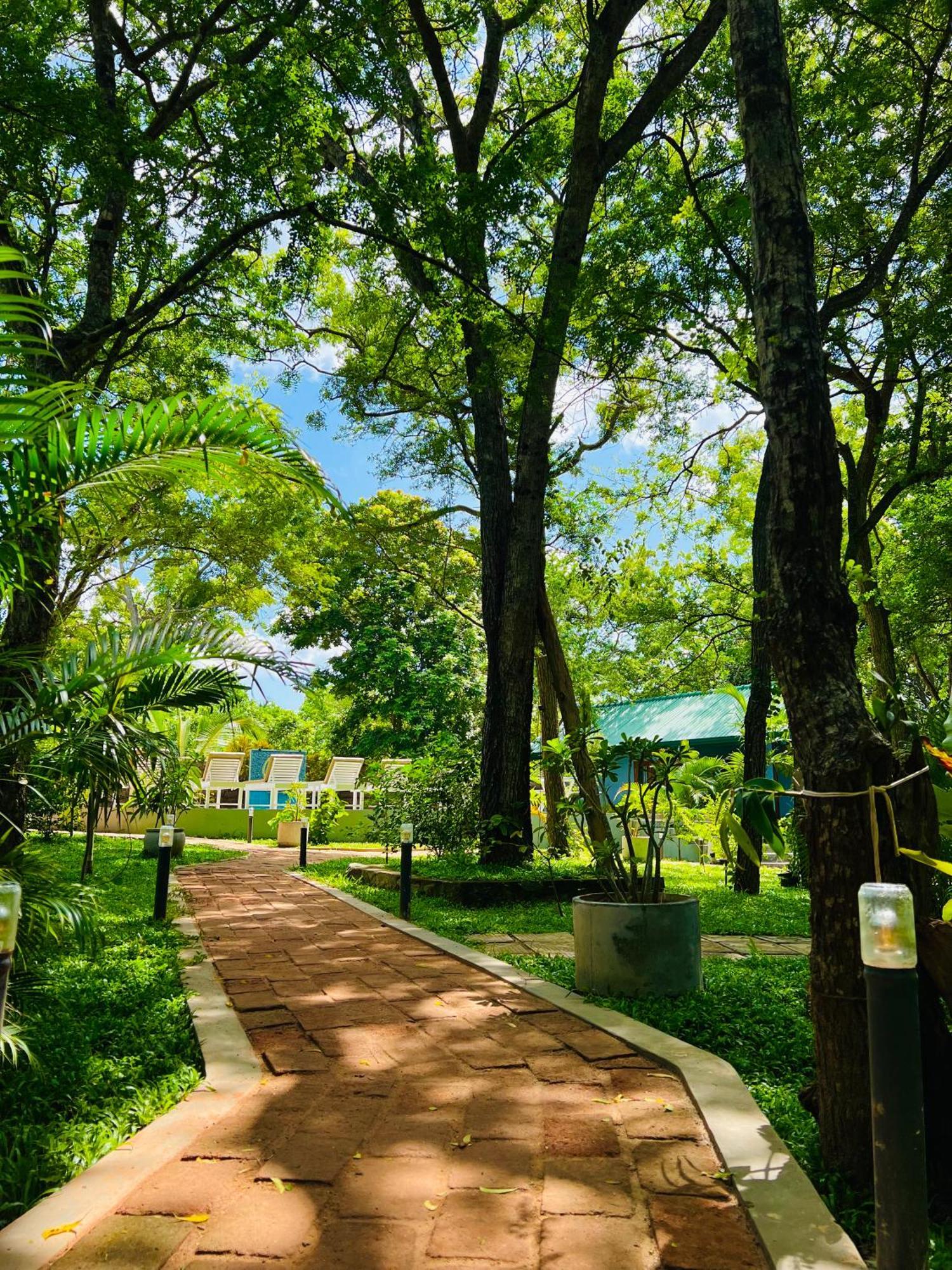 Maritime Nest Cabanas Tangalle Exterior foto